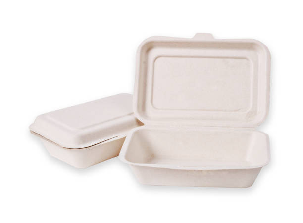 istock Bagasse box for food 647171834