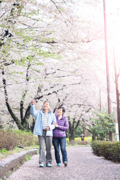 istock Old couple walk in park 647188262