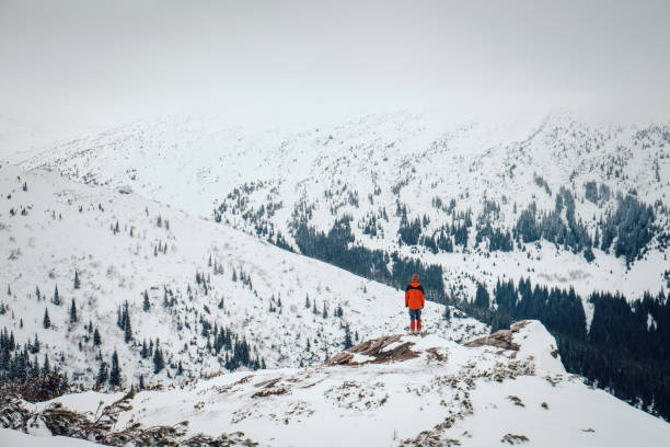 istock Feel freedom and enjoy beautiful winter mountains 647194582