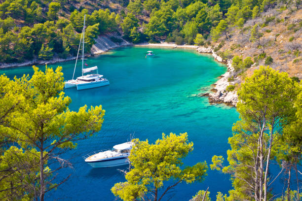 vela e navigazione in spiaggia turchese segreta, isola di brac, dalmazia, croazia - croatia nature tree plant foto e immagini stock