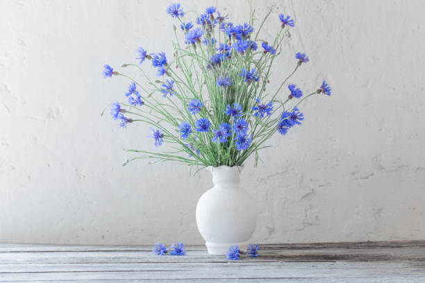 istock Beautiful blue cornflowers in vase 647195684