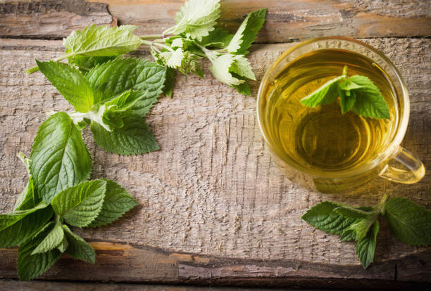 istock cups of tea with mint on wooden 647196656