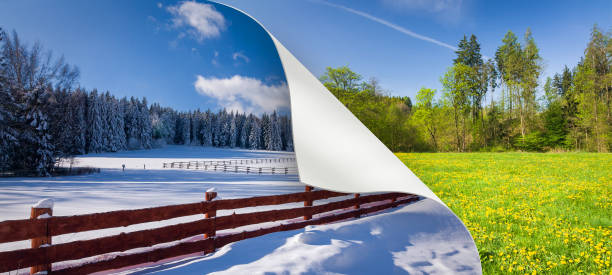 cambio de temporada de invierno a la primavera - dandelion snow fotografías e imágenes de stock