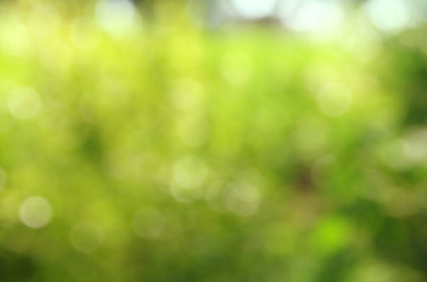 istock glitter green vintage lights background. defocused 647203894