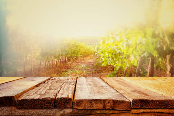 istock Empty table in front of dreamy countryside background 647203936