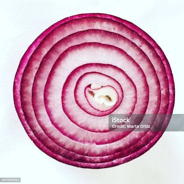 Red Onion Half Cut Isolated On White Background Stock Photo - Download Image Now - Spanish Onion, High Angle View, Cut Out