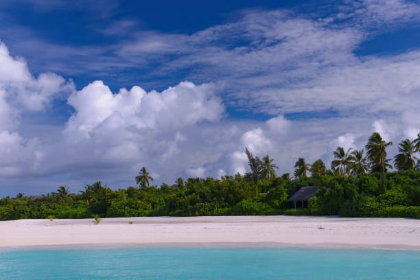 istock Tropical Seascape in Maldives 647214868