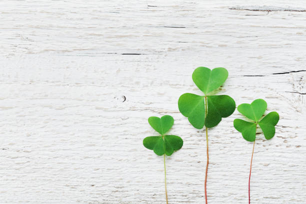 istock Saint Patricks Day background. Flat lay. Vintage style. 647214872