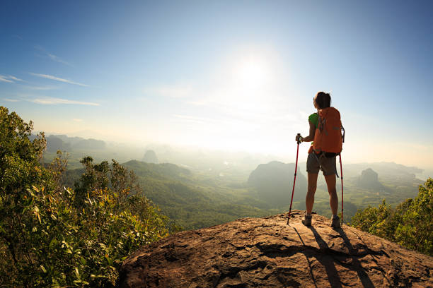 istock young traveler with backpack on the mountain peak rock observing locality 647217782