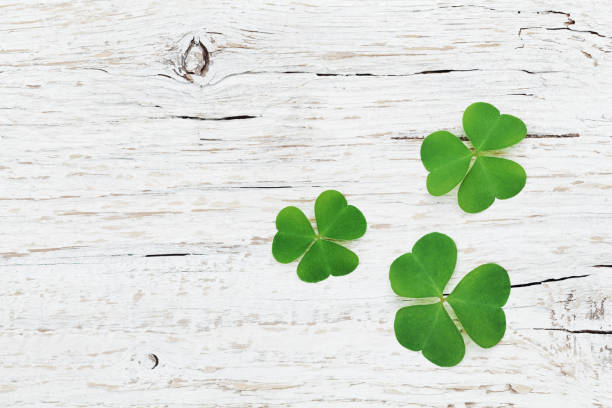 istock Saint Patricks Day background with green shamrock or clover. 647217794