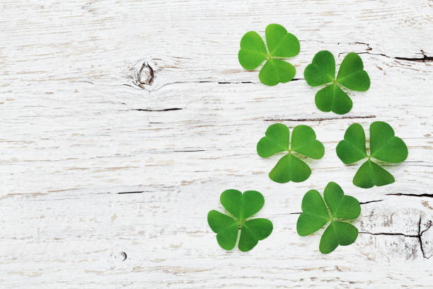 istock Saint Patricks Day background with green shamrock. Flat lay. 647218752