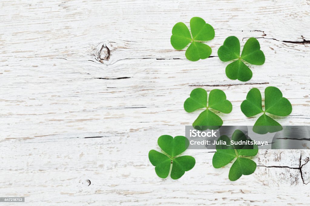 Saint Patricks Day background with green shamrock. Flat lay. Saint Patricks Day background with green shamrock on white wooden texture top view. Clover Stock Photo