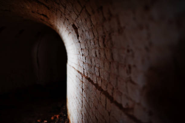 istock Scary brick arch tunnel on dark and some light. 647221280