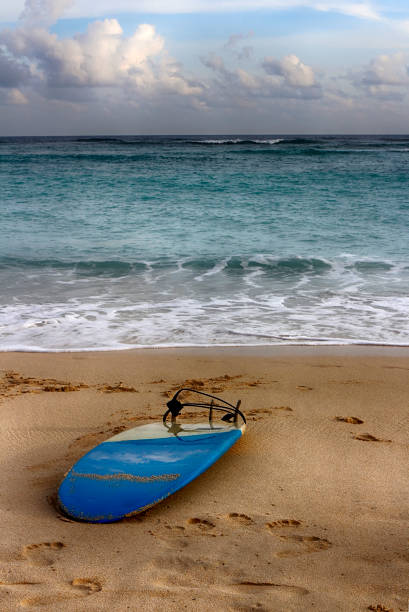 istock Ocean landscape, good waves, great place for surfing. 647221480