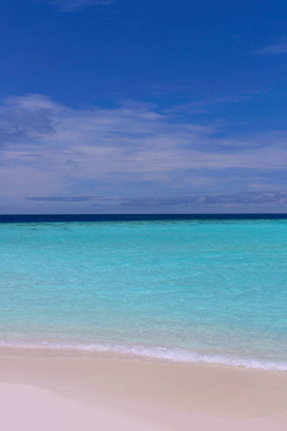istock Tropical Seascape in Maldives 647225358