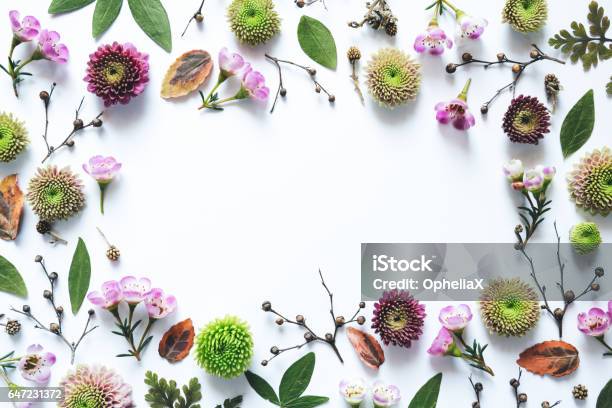 Floral Frame On White Background Stock Photo - Download Image Now - Flower, White Background, Above