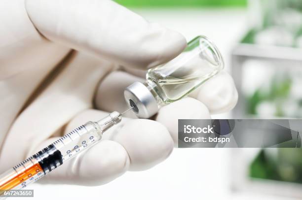 Hand Holding A Syringe Stock Photo - Download Image Now - Syringe, Healthcare And Medicine, Vial