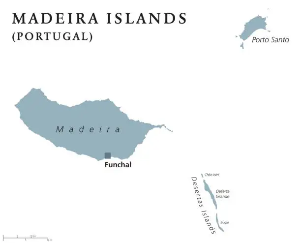 Vector illustration of Madeira Islands political map