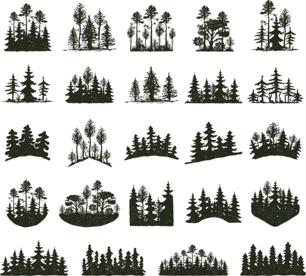 Tree outdoor travel black silhouette Tree outdoor travel black silhouette coniferous natural badges, tops pine spruce branch cedar and plant leaf abstract stem drawing vector illustration. Panorama scene horizon decoration. tree silhouettes stock illustrations