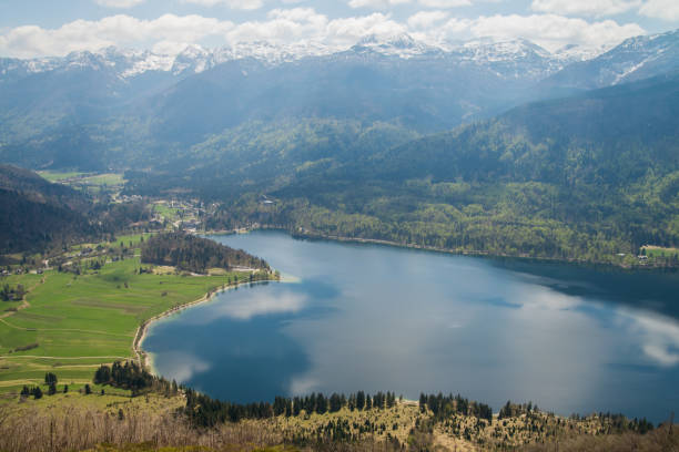 istock Scenic view from alpine meadow on lake Bohinj 647250934