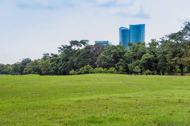 istock Green nature on public park 647256188