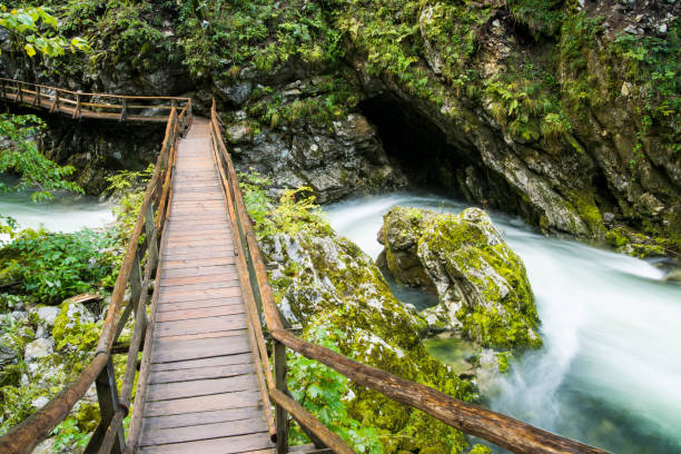 istock Scenic Vintgar gorge in Slovenia 647258726