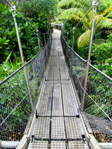 istock Narrow Bridge on the Trail 647265850