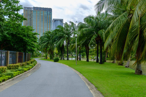 istock Green nature on public park with rain cloud 647266588