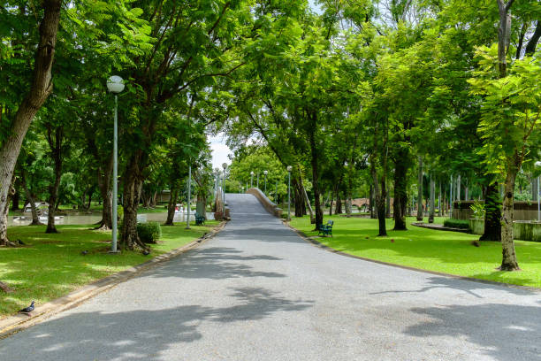 istock Green nature on public park with rain cloud 647266622