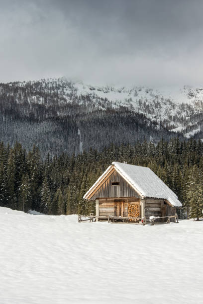 istock Alpine meadow Zajavornik during winter time 647266892