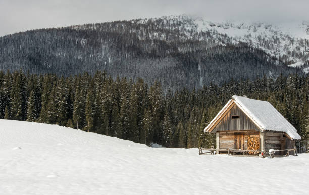 istock Alpine meadow Zajavornik during winter time 647266898