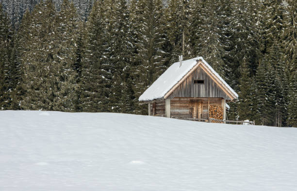 istock Alpine meadow Zajavornik during winter time 647266940