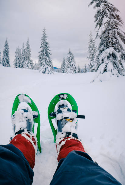istock Hiking in beautiful winter forest in snowshoes 647269320