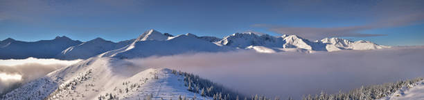 istock Winter panoramic view of west Tatra mountain. Wolowiec peak 647269394