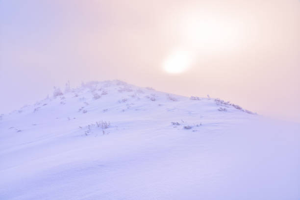 istock Foggy sunrise in beautiful pastel colors 647273420