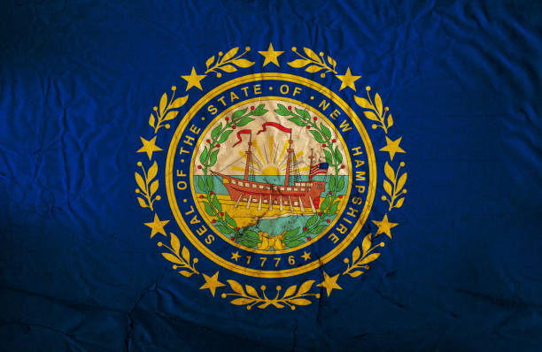 istock Nwe Hampshire State grunge flag 647274074