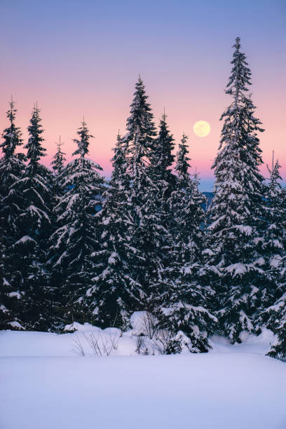 istock Winter landscape in mountains with full moon and pink sky 647278028