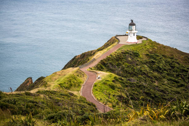 istock Cape Reinga, New Zealand 647278454