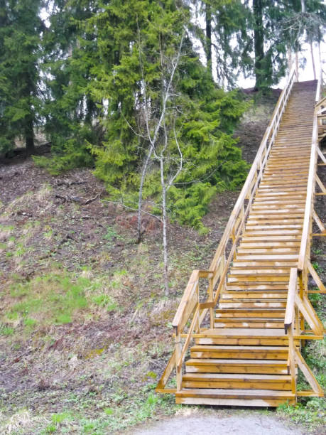 istock wooden staircase 647284684