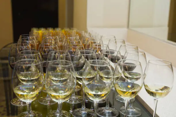 Glasses of wine - catering at press-conference, close up