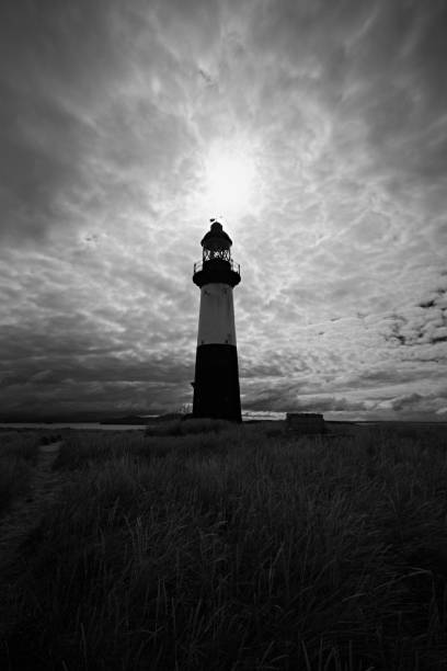 istock Cape Pembroke Lighthouse - Falkland Islands 647293842