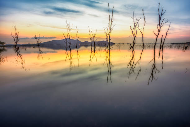 istock Low light scenery of sunset on the lake 647296902