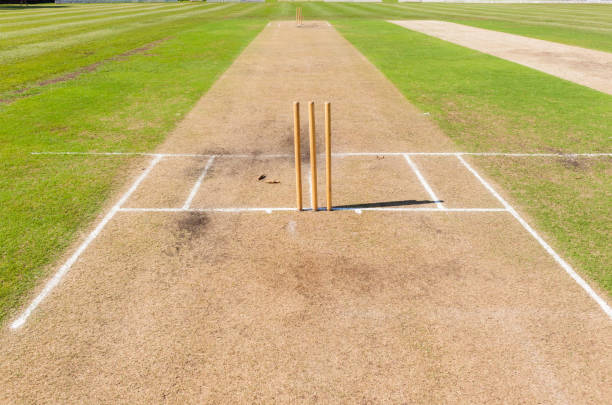 Cricket field pitch's wickets markings grounds summer sport.
