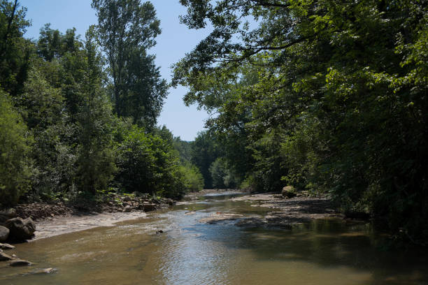 istock River deep in mountain forest. Nature composition. Mountain river flowing through the green forest 647304368