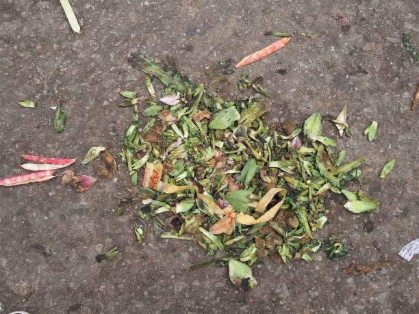 istock Top aerial view of dirty leaf. 647304624