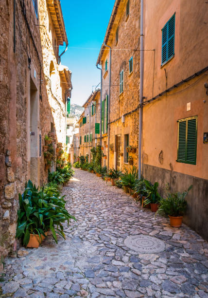 istock Plant Street in Valldemossa, Majorca 647307680