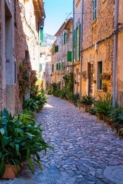 istock Plant Street in Valldemossa, Majorca 647308494