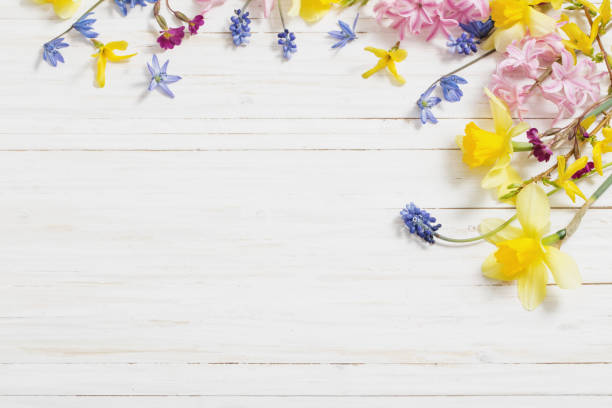 flowers on white wooden background