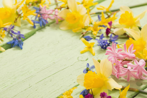 flowers on green wooden background