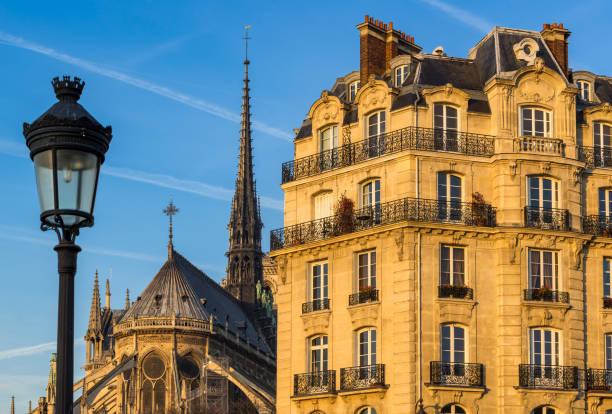 istock Ile de la Cite morning view. Paris, France 647309004